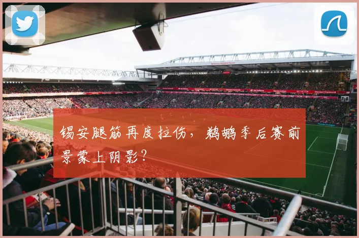 锡安腿筋再度拉伤,鹈鹕季后赛前景蒙上阴影?